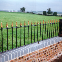 Wrought iron Private Porch Rails  with Wrought Iron Decorative Ornaments Steel Fence